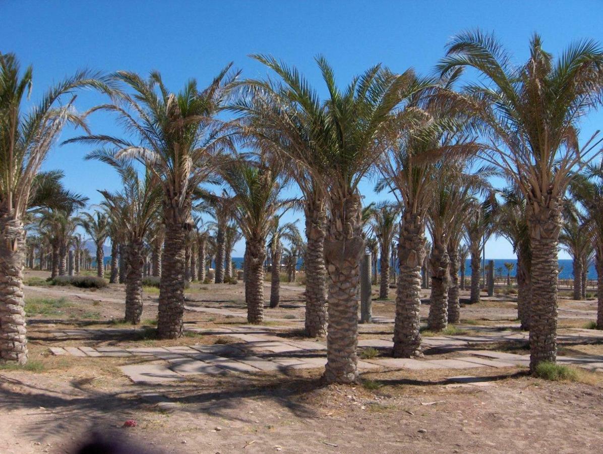Apartamento Golf y playa junto al Cabo de Gata Almería Exterior foto